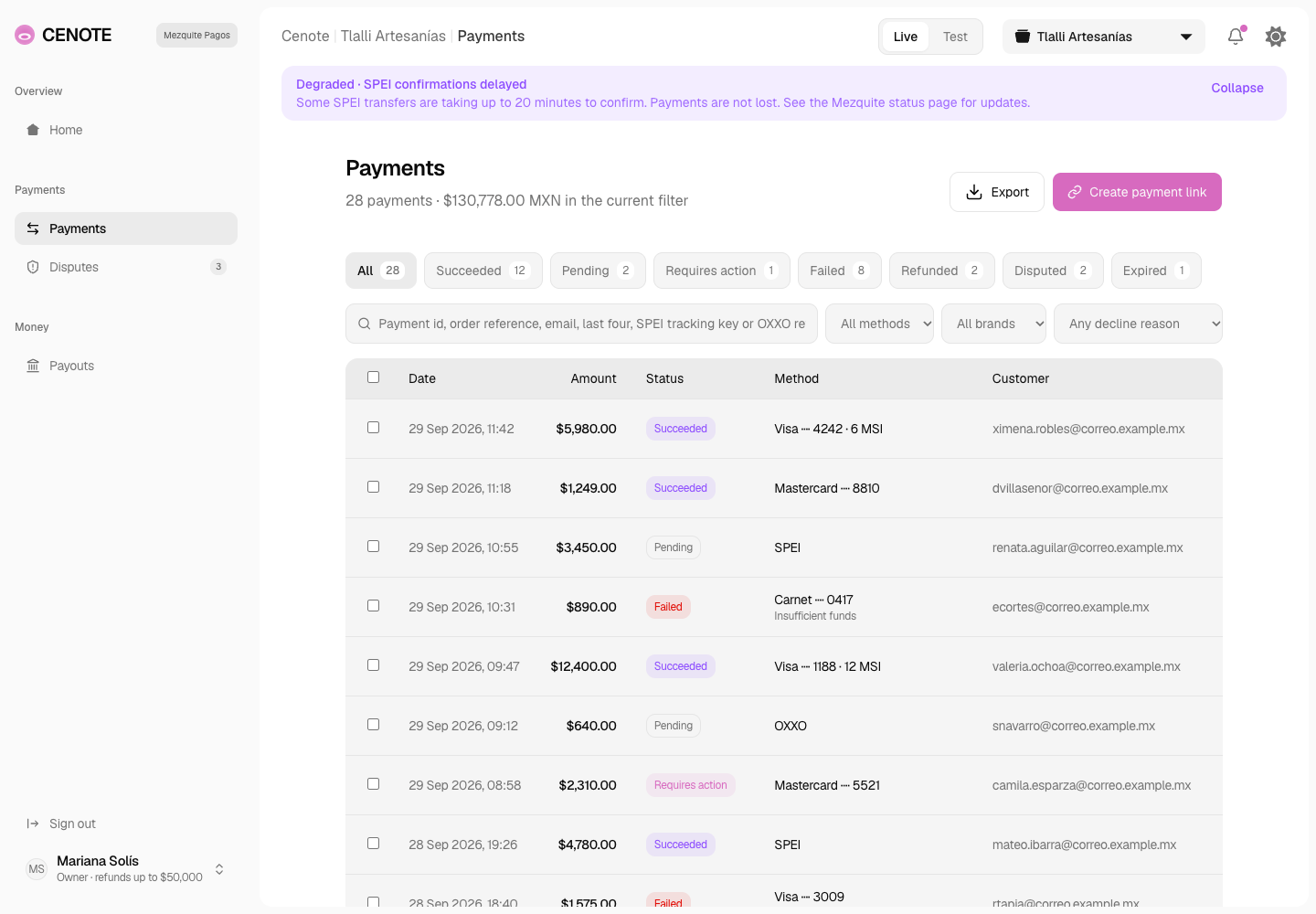 Cenote - Merchant Dashboard for a Mexican Payment Gateway screenshot 2